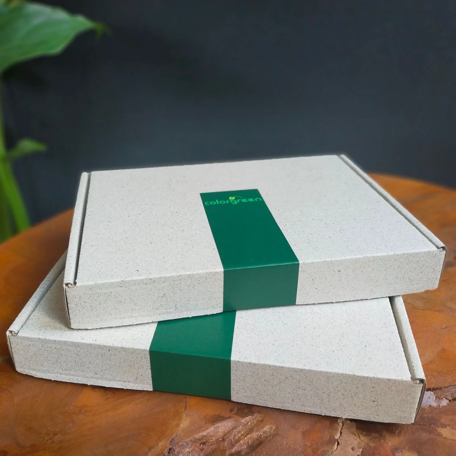 Colorgreen sampledozen van graskarton, gesloten met PVC-vrije folie